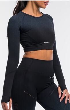 Echt Arise Ombre Workout Top Size Large Long Sleeve Crop Blue/Black Gym Fitness